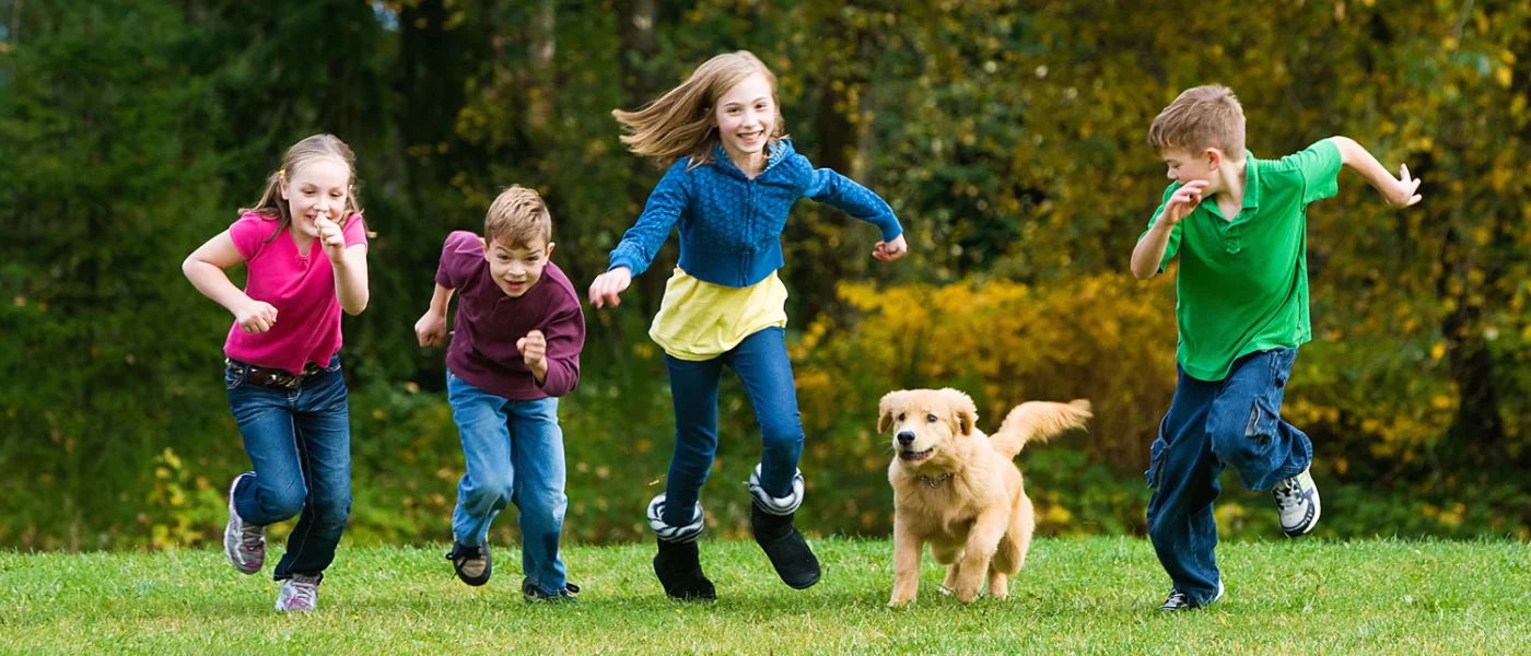 Her çocuk evde köpek – kedi beslemek istiyor. Peki hangi ırk size en uygun??