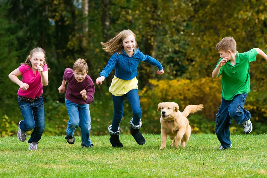 Her çocuk evde köpek – kedi beslemek istiyor. Peki hangi ırk size en uygun??