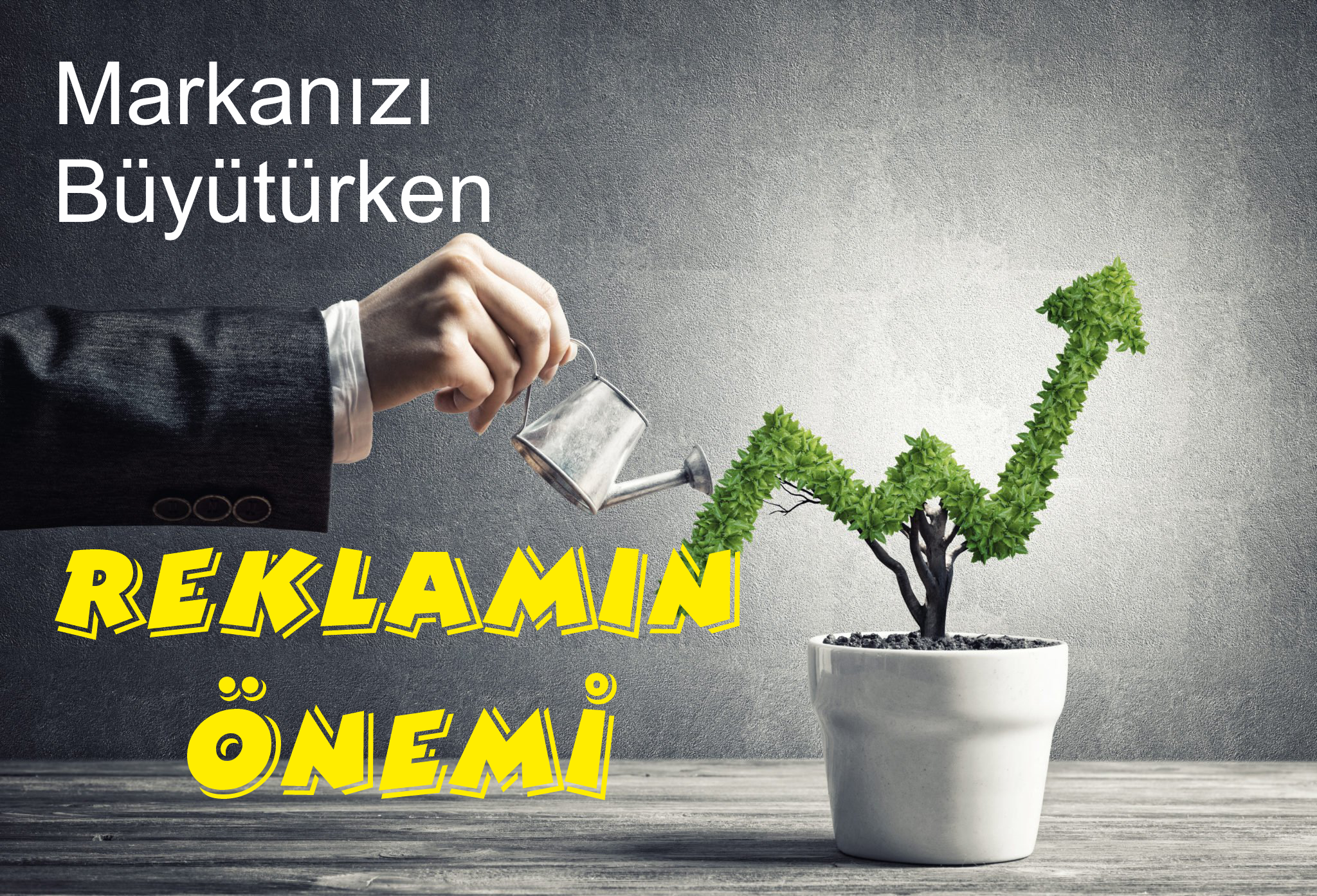 İşletmeler İçin Reklam Stratejisi Rehberi !!!