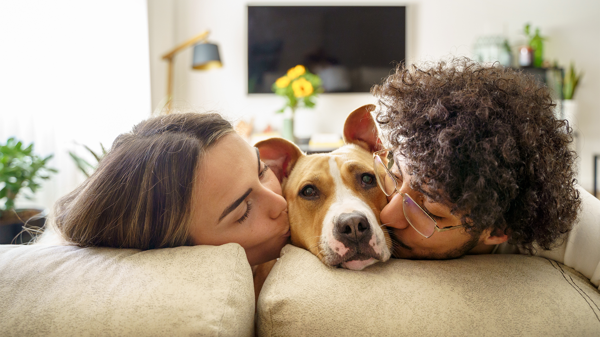 Köpeğinizle İlişkinizi Geliştirmenin Yolları