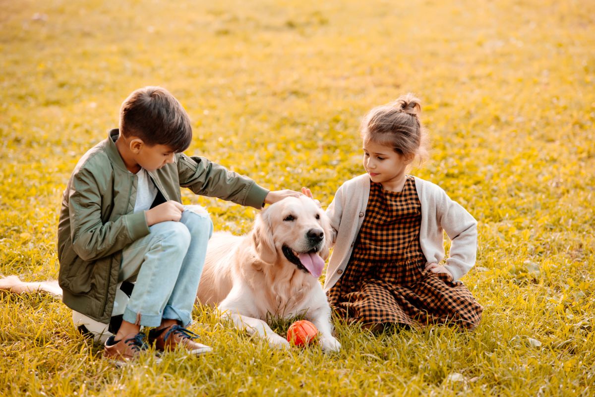 Bir Köpekle İletişim Kurmak. Çocuklar İçin Temel Bilgiler